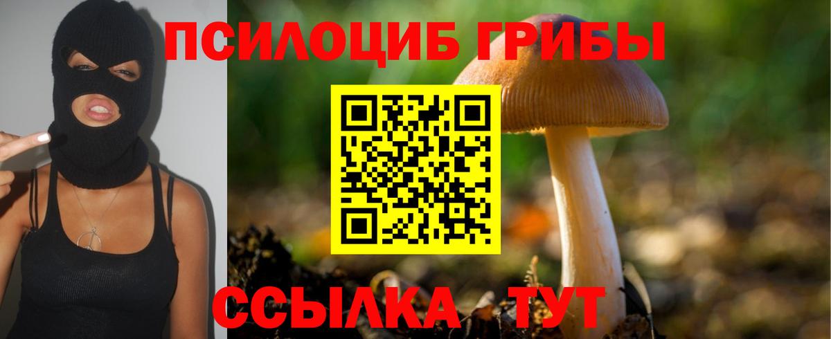 Псилоцибиновые грибы Magic Shrooms Усть-Джегута